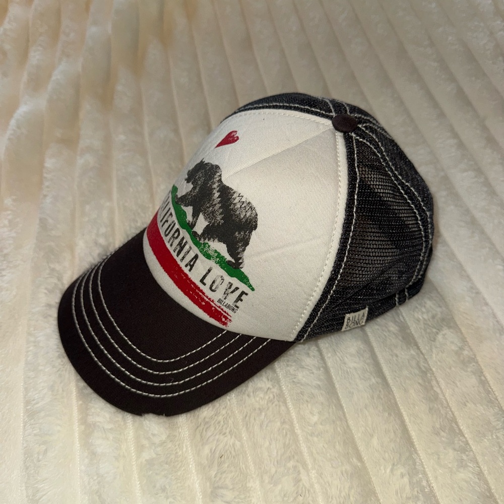 Billabong Trucker Hat with Bear Graphic in White, Black, Green, Red